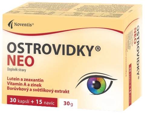 Úvodní obrázek