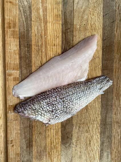 Black Seabass
