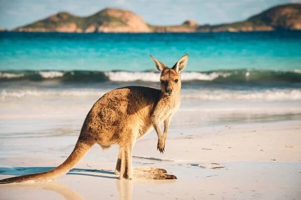 NP Cape Le Grand, Austrálie