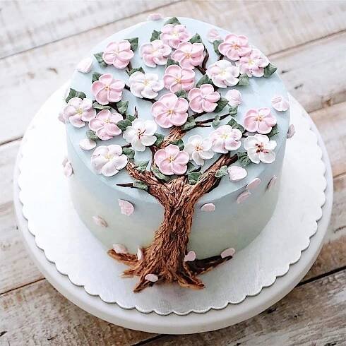 Delicious Flower and Terrarium Cakes | Pasta, Pastalar, Pasta dekorasyonu i̇puçları