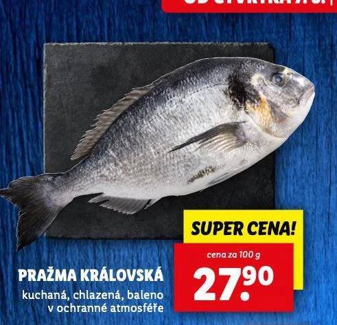 PRAŽMA KRÁLOVSKÁ