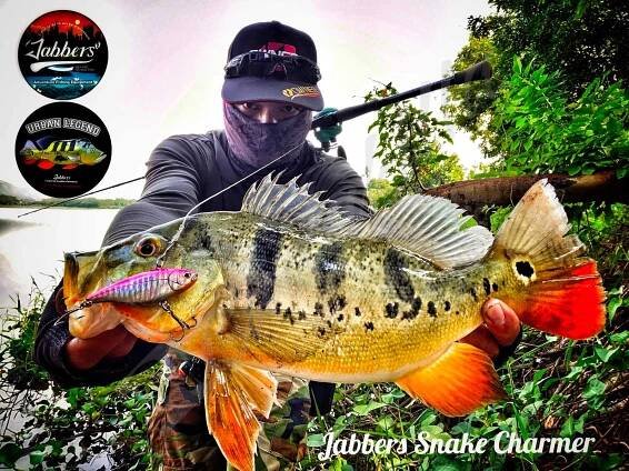 Jabbers Snake Charmer 5pc Travel Conventional Rod