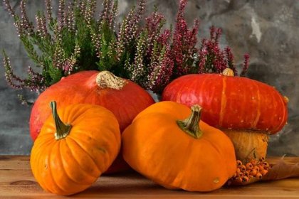 Dýně: jak ji využít v podzimních dekoracích i v kuchyni