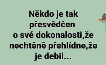 Pin by Hana Hlaváčková on moudra | Quotations, Humor, Quotes