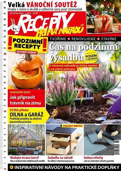 Časopis Recepty prima nápadů 11/2021