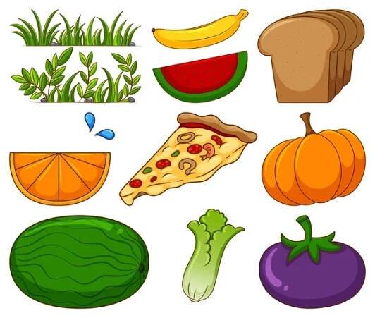 Velká sada různých potravin a další položky na bílém pozadí ilustrace — Ilustrace