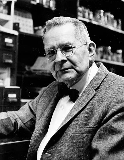 Waldo L. Schmitt