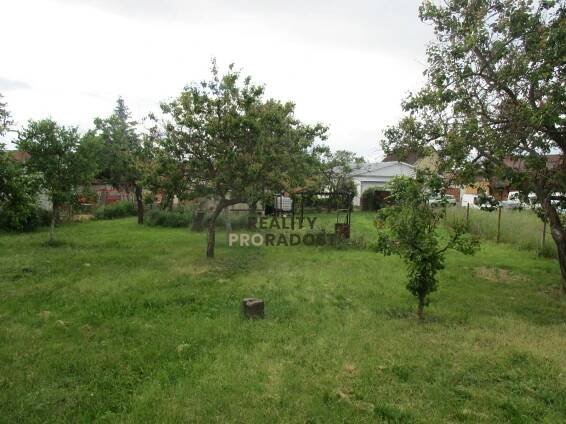 Pronájem Pozemek, Ke Skleníkům, Nový Šaldorf-Sedlešovice - Nový Šaldorf, okres Znojmo
