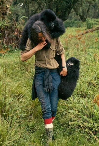 Fosseyová a tajemství v mlze - Z filmu - Dian Fossey