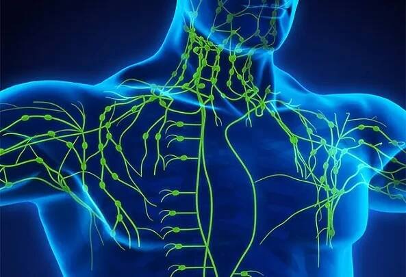 What Is the Difference Between Lymphangitis and Lymphadenitis?