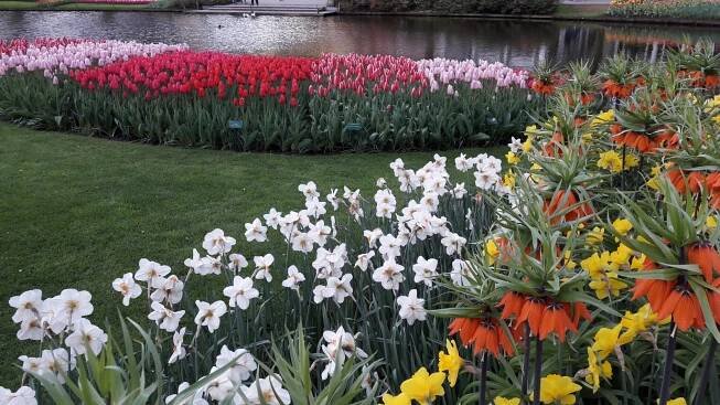 Karavanem za tulipány – Keukenhof 2025 – Silver On The Road