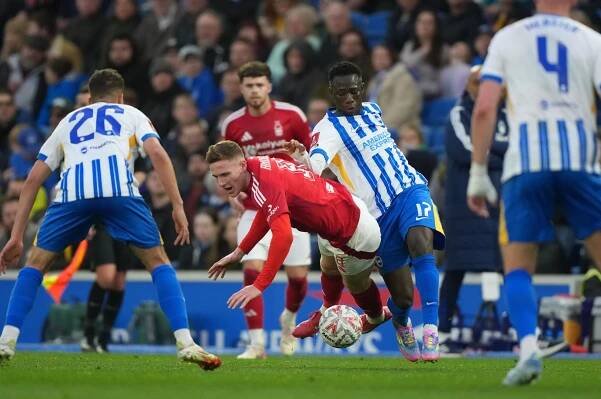 Brighton Predicted Lineup vs Wolves for May 10