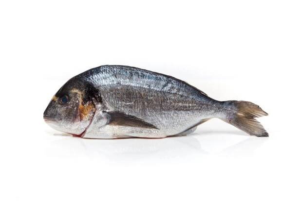 Pražma královská 400 – 600 g | cernocky