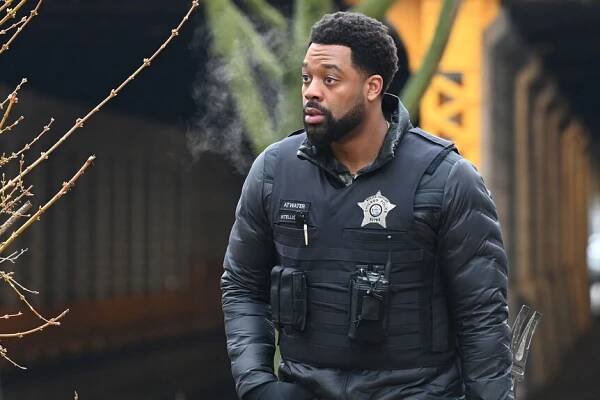 LaRoyce Hawkins Spends Thanksgivings with This P.D. Co-Star's Family: 