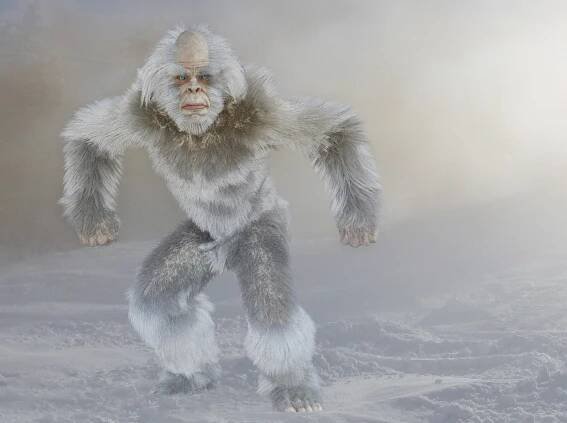 Yetti
