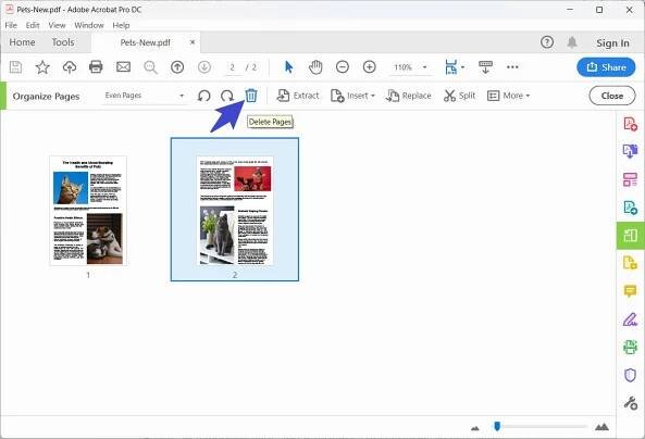 adobe pdf empty page remover
