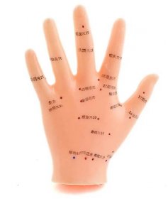 Akupunkturní model ruky