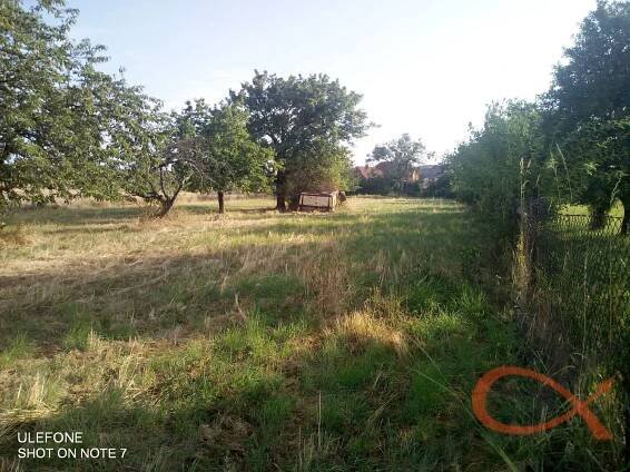 Pronájem Pozemek, Bohuslavice, okres Prostějov