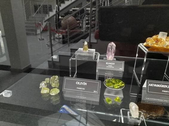 Lepší než Národní muzeum. Návštěvníci obdivují brazilské ametysty i zub mamuta