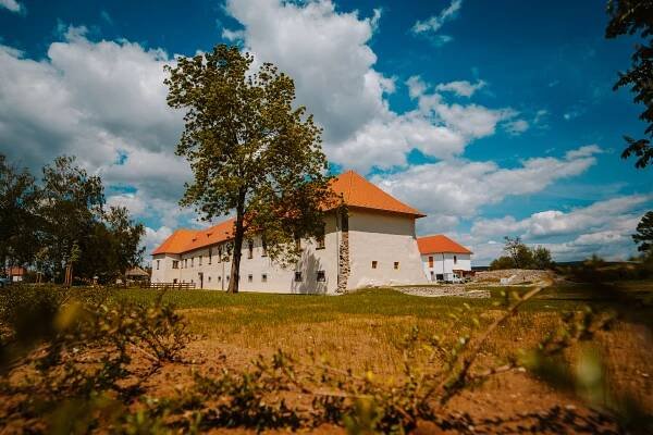 Záhada erbu malého Františka - HARAVARA