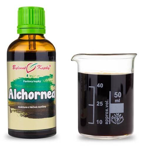 Alchornea - Pavlovy bylinné kapky (tinktura) 50 ml