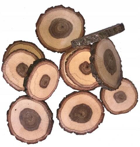 PŘÍRODNÍ Dřevěné pláty dubové kroužky 5-8cm/30ks
