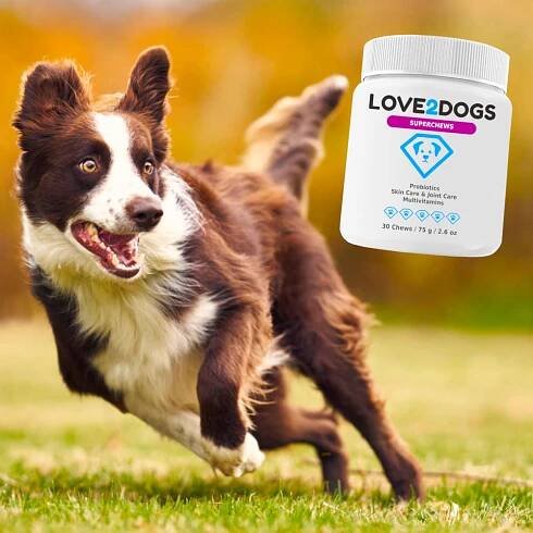 SuperChews 3in1 - Love2Dogs