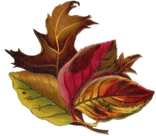 Autumn Images