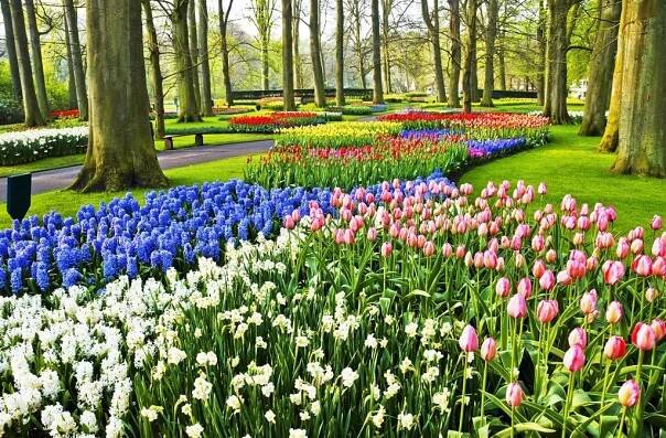 Amsterdam zájezd 2022, zájezd do Holandska na tulipány letecky | Redok