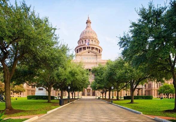 strom lemovaná cesta do texas capitol v austinu - hlavní město - stock snímky, obrázky a fotky