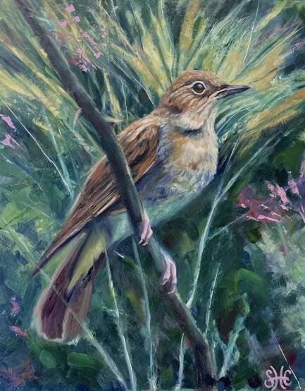 nightingale