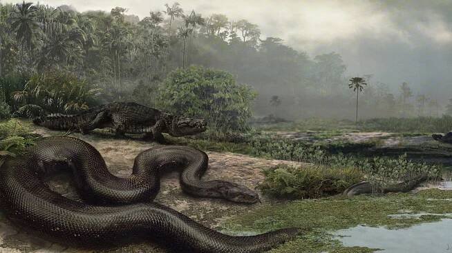 „Krásní, půvabní a většinou neškodní“. Jak hadi získali evoluční výhodu před konkurencí
