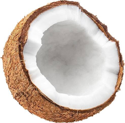 Kokos 1