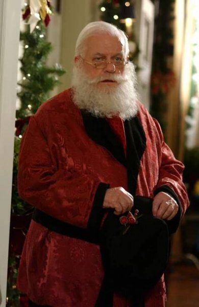 Přítel pod stromečkem - Z filmu - Charles Durning