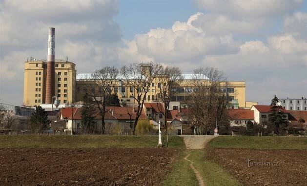 Pohled od Židlochovic na Hrušovany