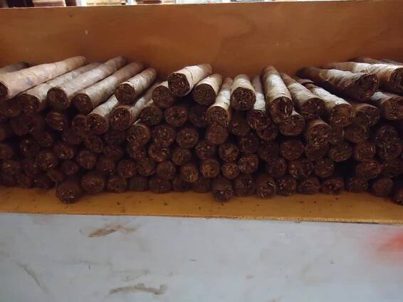 Doutník Don Patico Torpedos Maduro 25 ks.