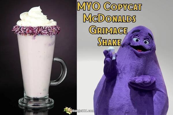 copycat mcdonalds grimace shake