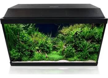 Akvárium INVITAL LED akvarijní set 60 litrů s vnitřním filtrem a topítkem
