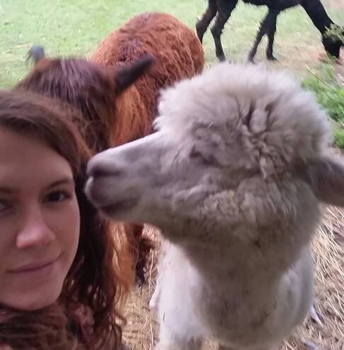alpaca kissing meggan