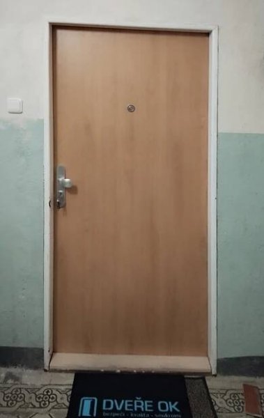 Bezpečnostní dveře do paneláku 11