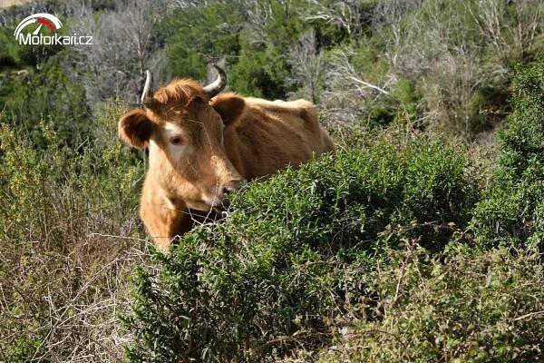 Korsika – Sardinie – Španělsko – Gibraltar cestopis na motorce | Motorkáři.cz