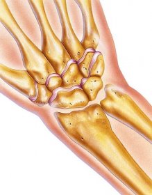 ruka a zápěstí - kosti a klouby ve společnosti situ - hrášková kost stock ilustrace
