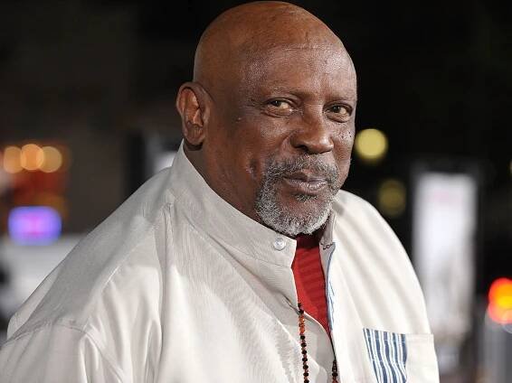 Louis Gossett Jr., 'Officer and a Gentleman' Star, Dead at 87