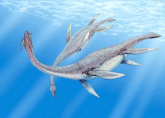 Some believe Tahoe Tessie resembles an Early Jurassic plesiosaurus.