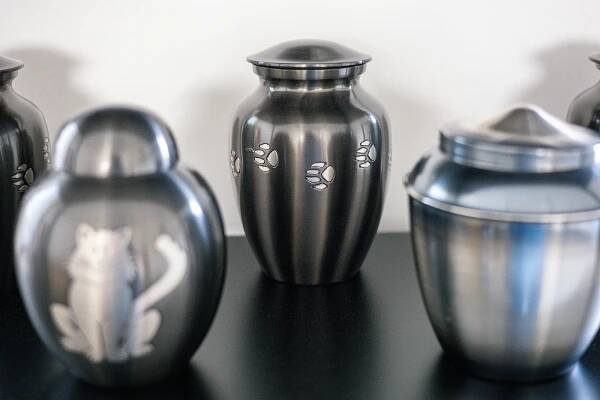 První zvířecí krematorium v kraji. Takto probíhá poslední rozloučení s mazlíčky