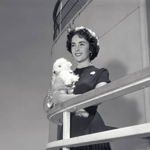 Mary McCartney to curate exhibition of photos from Cunard archives