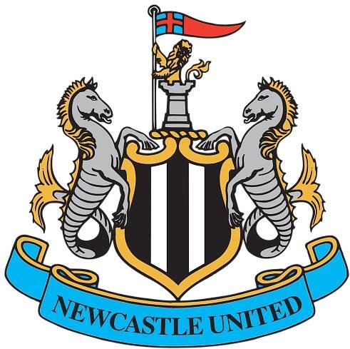 Discover Newcastle United FC Player Salaries 1