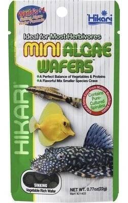 Hikari Tropical Mini Algae Wafers 22 g