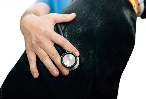 Articles Archive | Infiniti Medical