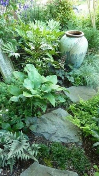 a garden filled with lots of plants and rocks